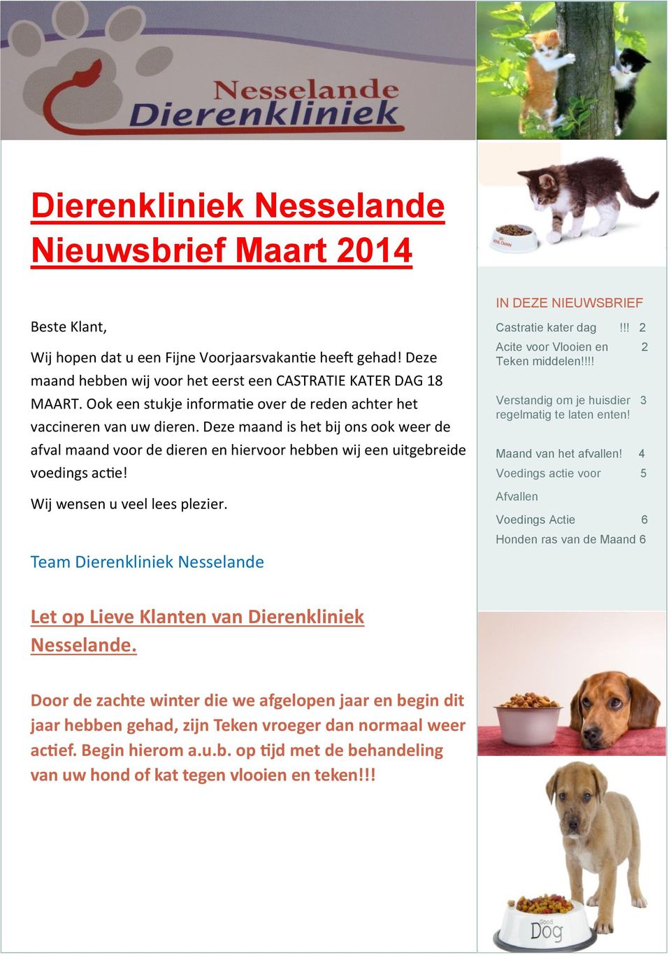 Wij wensen u veel lees plezier. Team Dierenkliniek Nesselande IN DEZE NIEUWSBRIEF Castratie kater dag!!! 2 Acite voor Vlooien en 2 Teken middelen!