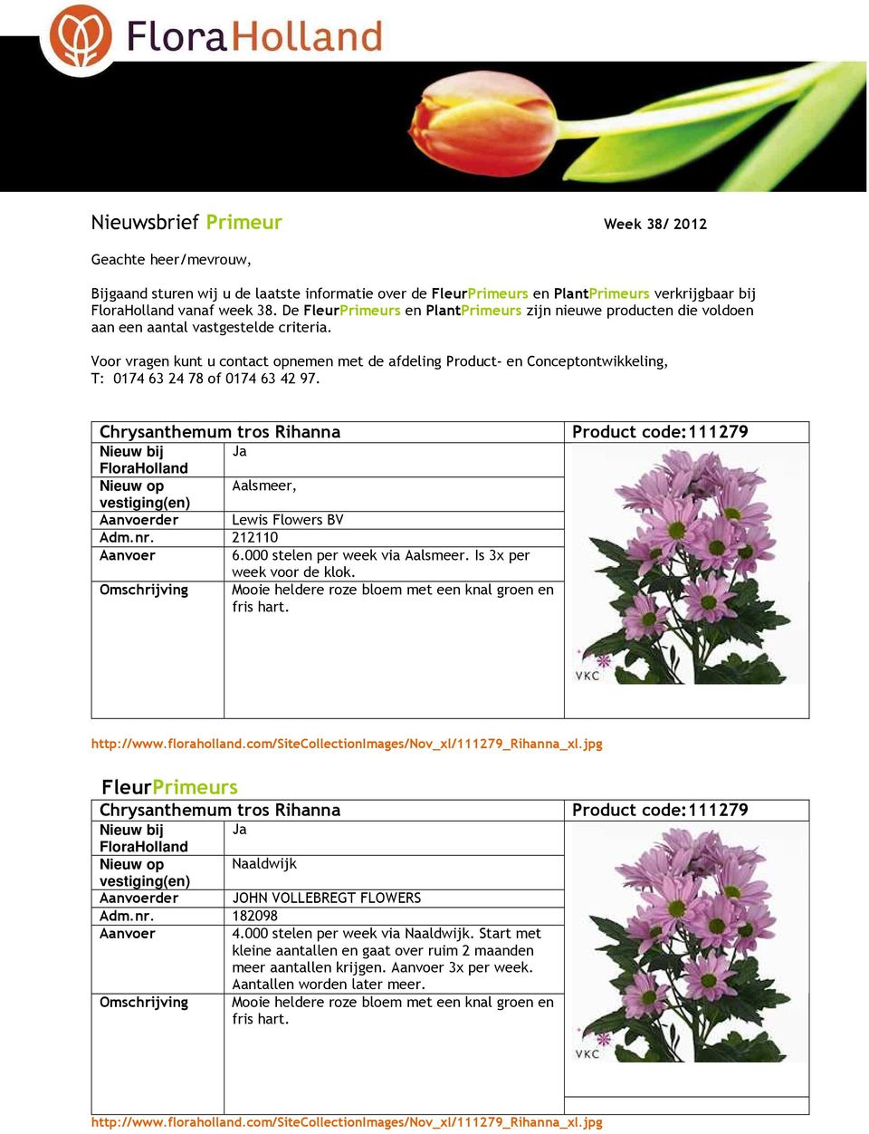Voor vragen kunt u contact opnemen met de afdeling Product- en Conceptontwikkeling, T: 0174 63 24 78 of 0174 63 42 97. Chrysanthemum tros Rihanna Nieuw op Aalsmeer, Aanvoerder Lewis Flowers BV Adm.nr.