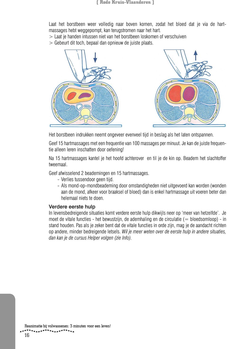 Het borstbeen indrukken neemt ongeveer evenveel tijd in beslag als het laten ontspannen. Geef 15 hartmassages met een frequentie van 100 massages per minuut.