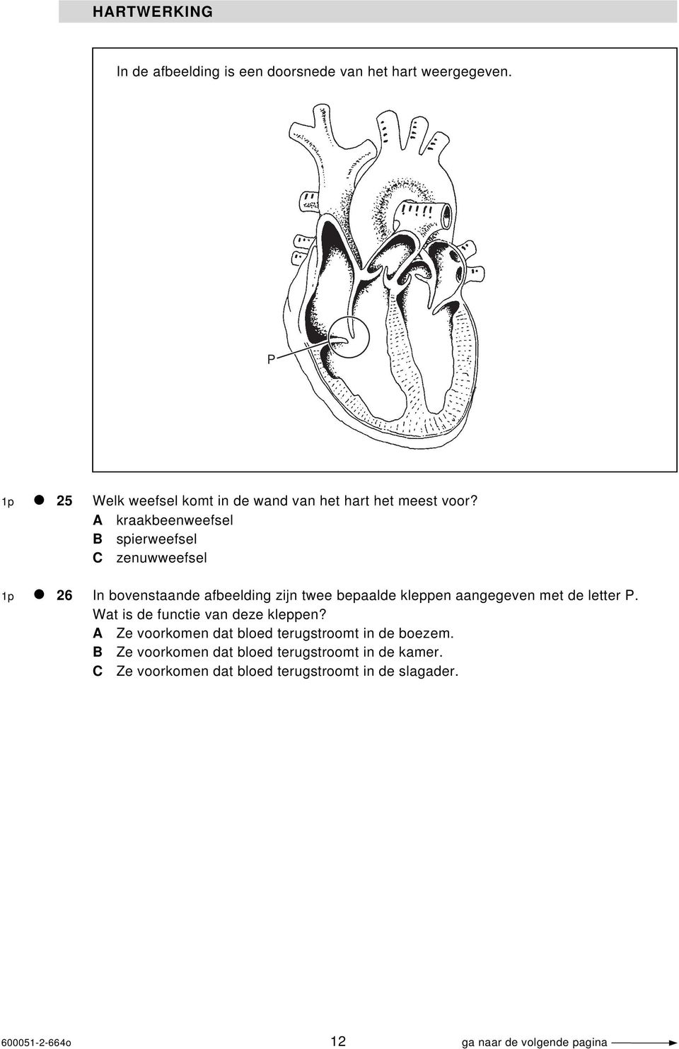 A kraakbeenweefsel B spierweefsel C zenuwweefsel 1p 26 In bovenstaande afbeelding zijn twee bepaalde kleppen aangegeven met de