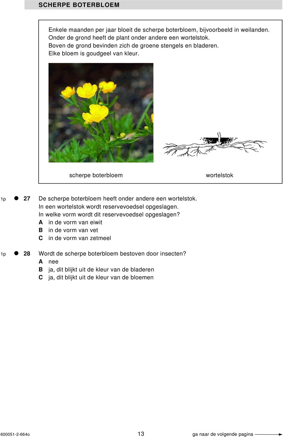 scherpe boterbloem wortelstok 1p 27 De scherpe boterbloem heeft onder andere een wortelstok. In een wortelstok wordt reservevoedsel opgeslagen.