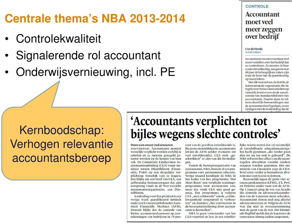 accountant Onderwijsvernieuwing, incl.