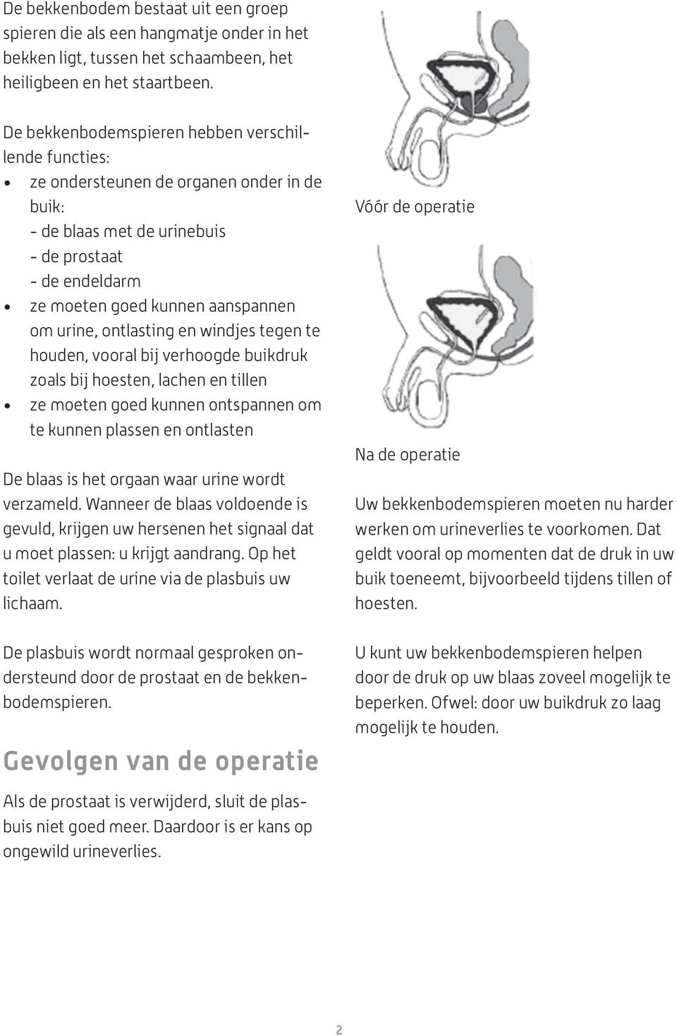 ontlasting en windjes tegen te houden, vooral bij verhoogde buikdruk zoals bij hoesten, lachen en tillen ze moeten goed kunnen ontspannen om te kunnen plassen en ontlasten De blaas is het orgaan waar