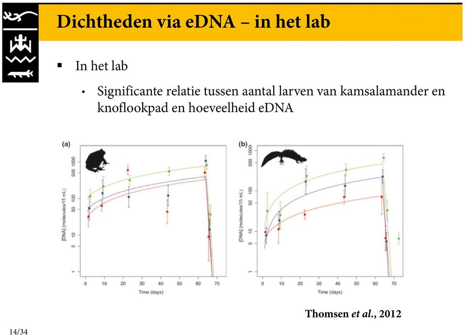 larven van kamsalamander en knoflookpad