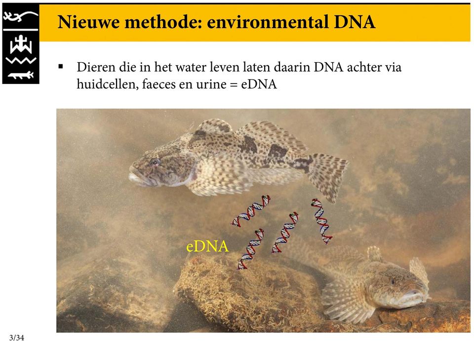 laten daarin DNA achter via