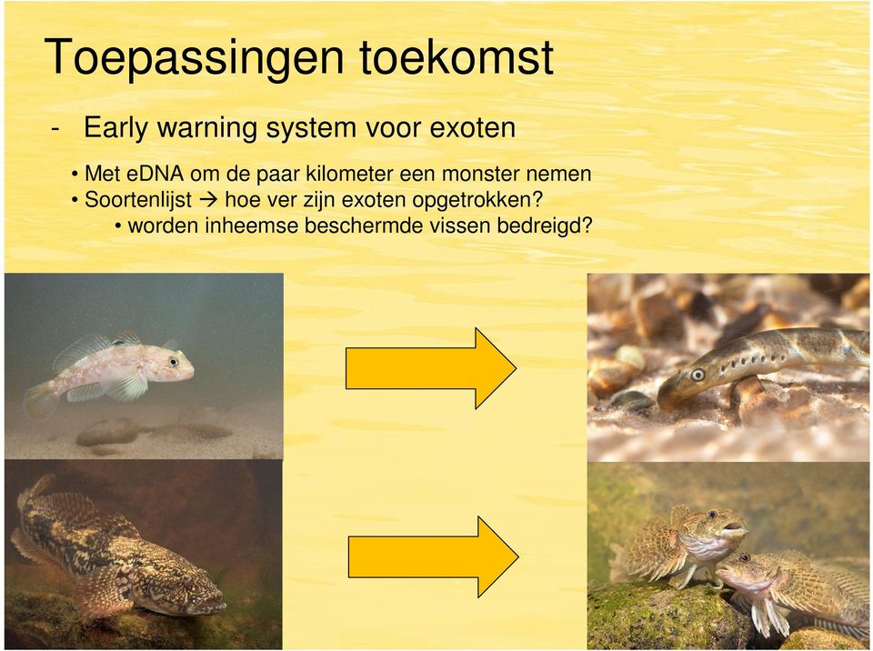 monster nemen Soortenlijst hoe ver zijn exoten