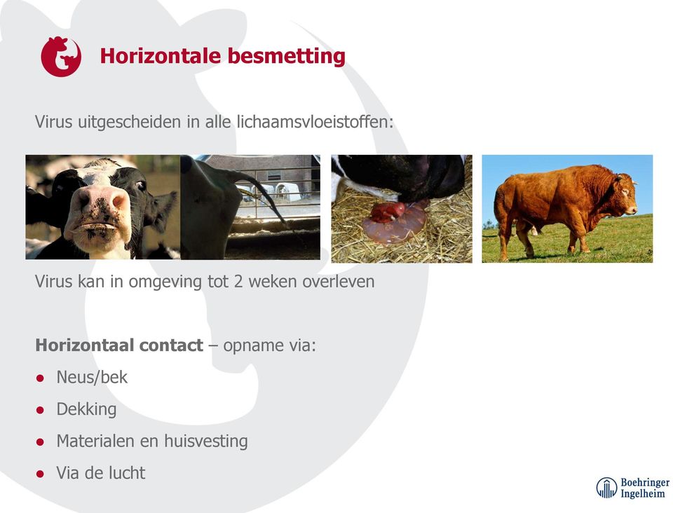 weken overleven Horizontaal contact opname via: