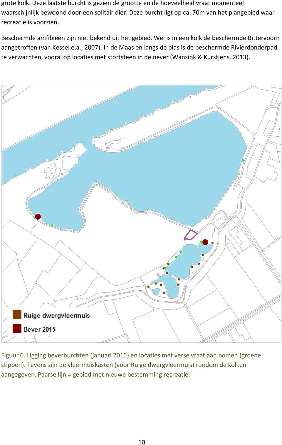 In de Maas en langs de plas is de beschermde Rivierdonderpad te verwachten, vooral op locaties met stortsteen in de oever (Wansink & Kurstjens, 2013). Figuur 6.