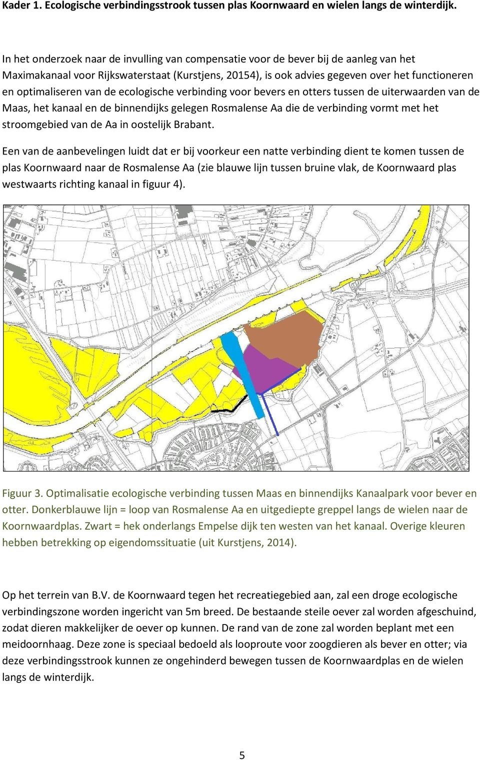 optimaliseren van de ecologische verbinding voor bevers en otters tussen de uiterwaarden van de Maas, het kanaal en de binnendijks gelegen Rosmalense Aa die de verbinding vormt met het stroomgebied