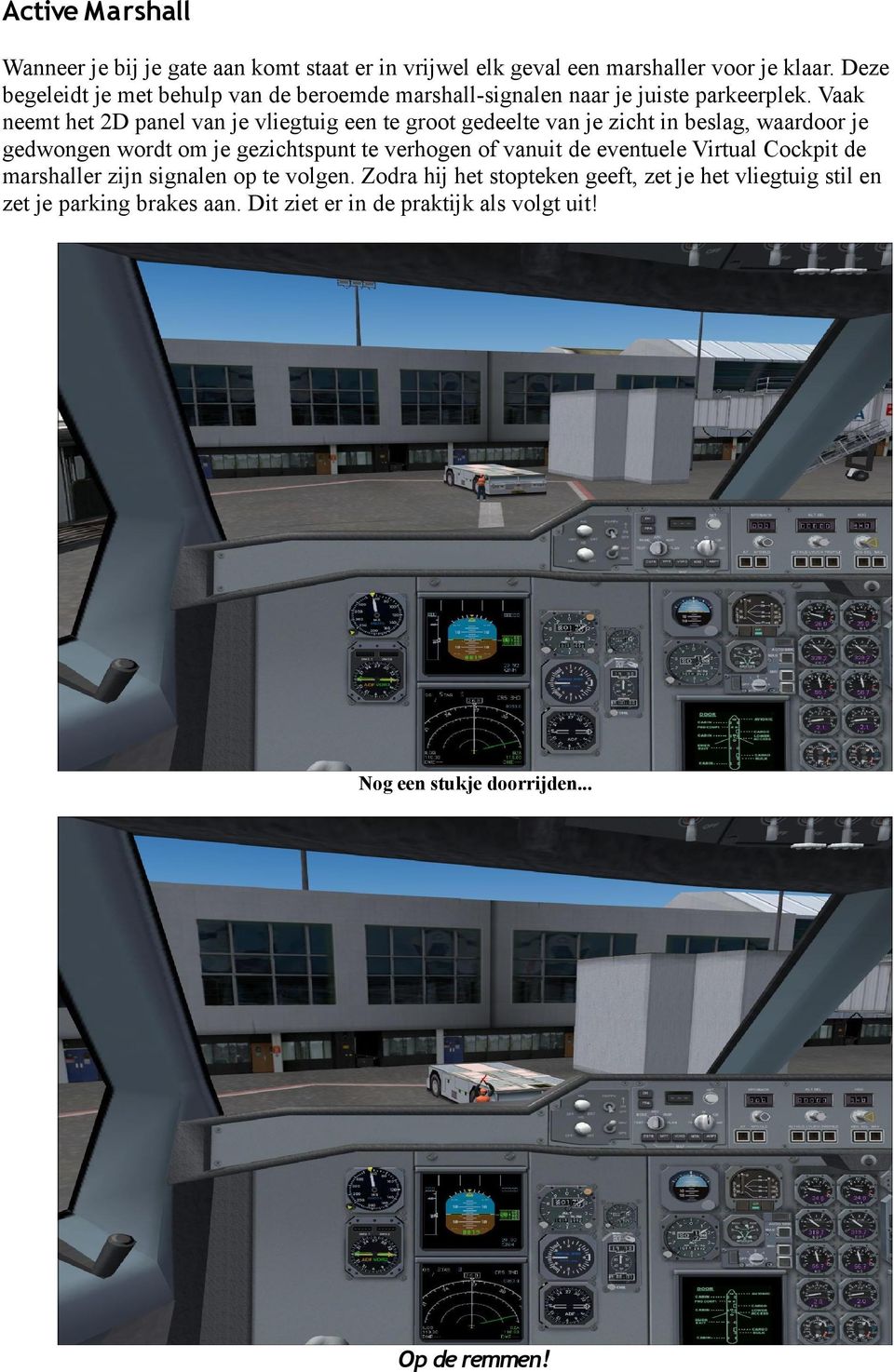 Vaak neemt het 2D panel van je vliegtuig een te groot gedeelte van je zicht in beslag, waardoor je gedwongen wordt om je gezichtspunt te verhogen of
