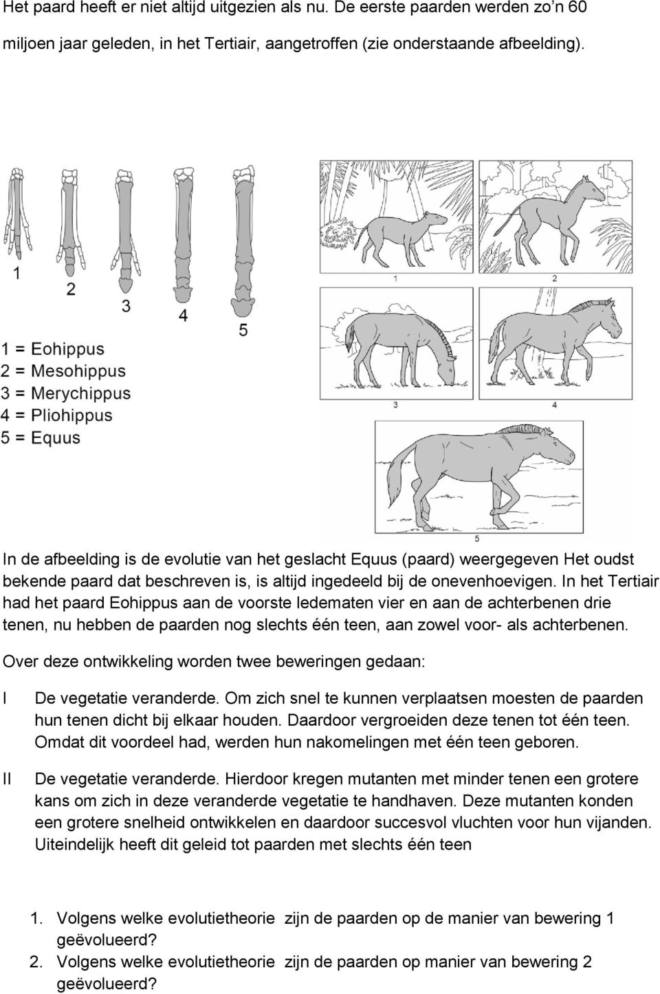 In het Tertiair had het paard Eohippus aan de voorste ledematen vier en aan de achterbenen drie tenen, nu hebben de paarden nog slechts één teen, aan zowel voor- als achterbenen.