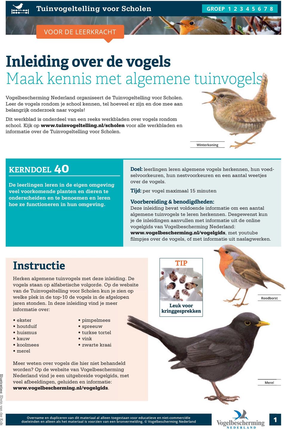 Inleiding Over De Vogels Maak Kennis Met Algemene Tuinvogels Pdf Gratis Download