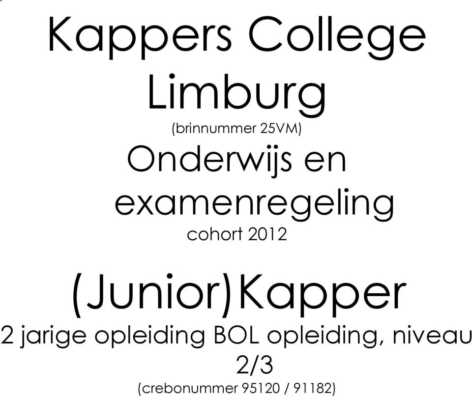 2012 (Junior)Kapper 2 jarige opleiding BOL