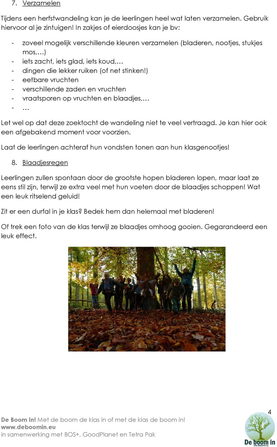 stinken!) - eetbare vruchten - verschillende zaden en vruchten - vraatsporen op vruchten en blaadjes, - Let wel op dat deze zoektocht de wandeling niet te veel vertraagd.