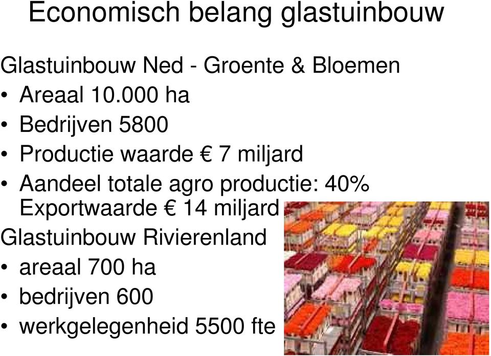 000 ha Bedrijven 5800 Productie waarde 7 miljard Aandeel totale