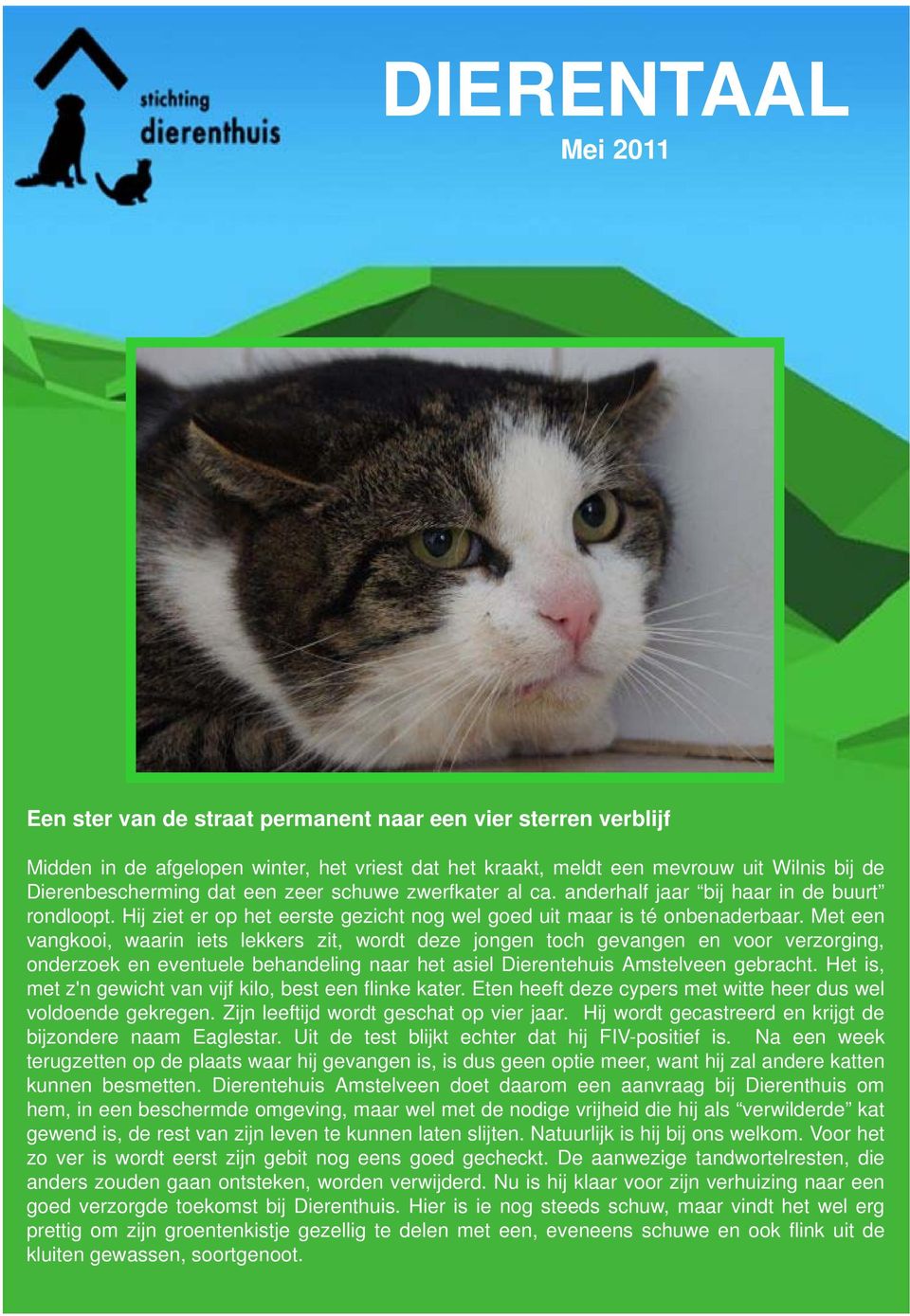 Met een vangkooi, waarin iets lekkers zit, wordt deze jongen toch gevangen en voor verzorging, onderzoek en eventuele behandeling naar het asiel Dierentehuis Amstelveen gebracht.