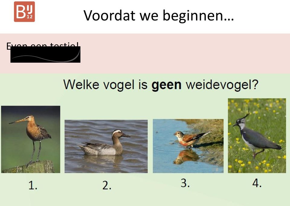 Voordat