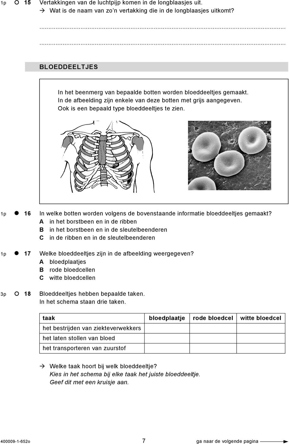 1p 16 In welke botten worden volgens de bovenstaande informatie bloeddeeltjes gemaakt?