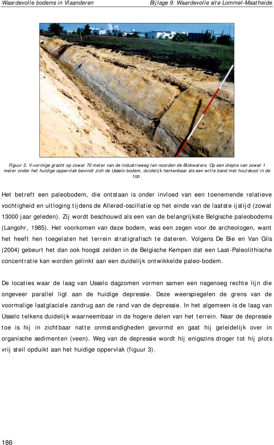 Het betreft een paleobodem, die ontstaan is onder invloed van een toenemende relatieve vochtigheid en uitloging tijdens de Allerød-oscillatie op het einde van de laatste ijstijd (zowat 13000 jaar