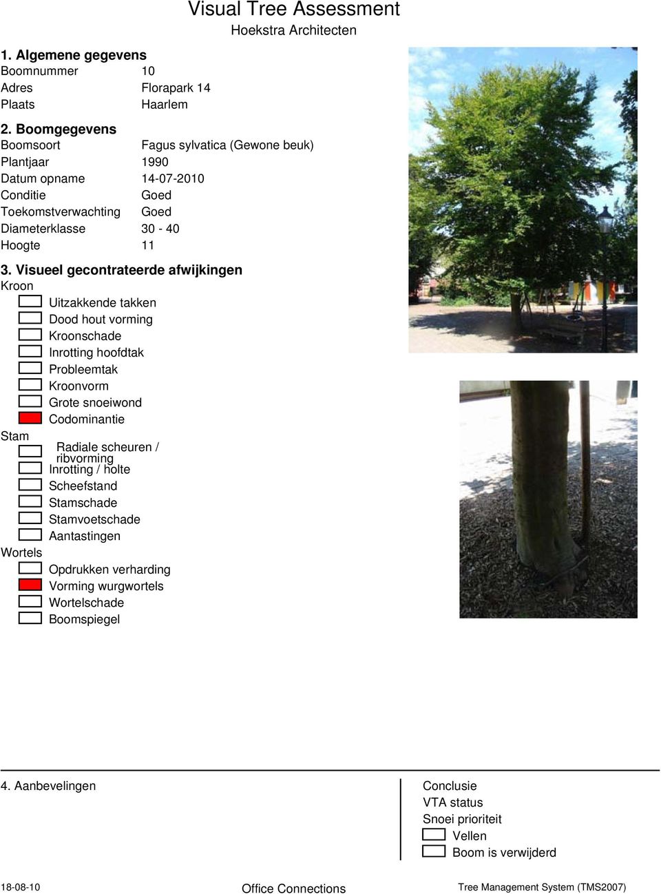 Visueel gecontrateerde afwijkingen Kroon Uitzakkende takken Dood hout vorming Kroonschade Inrotting hoofdtak Probleemtak Kroonvorm Grote snoeiwond Codominantie Stam