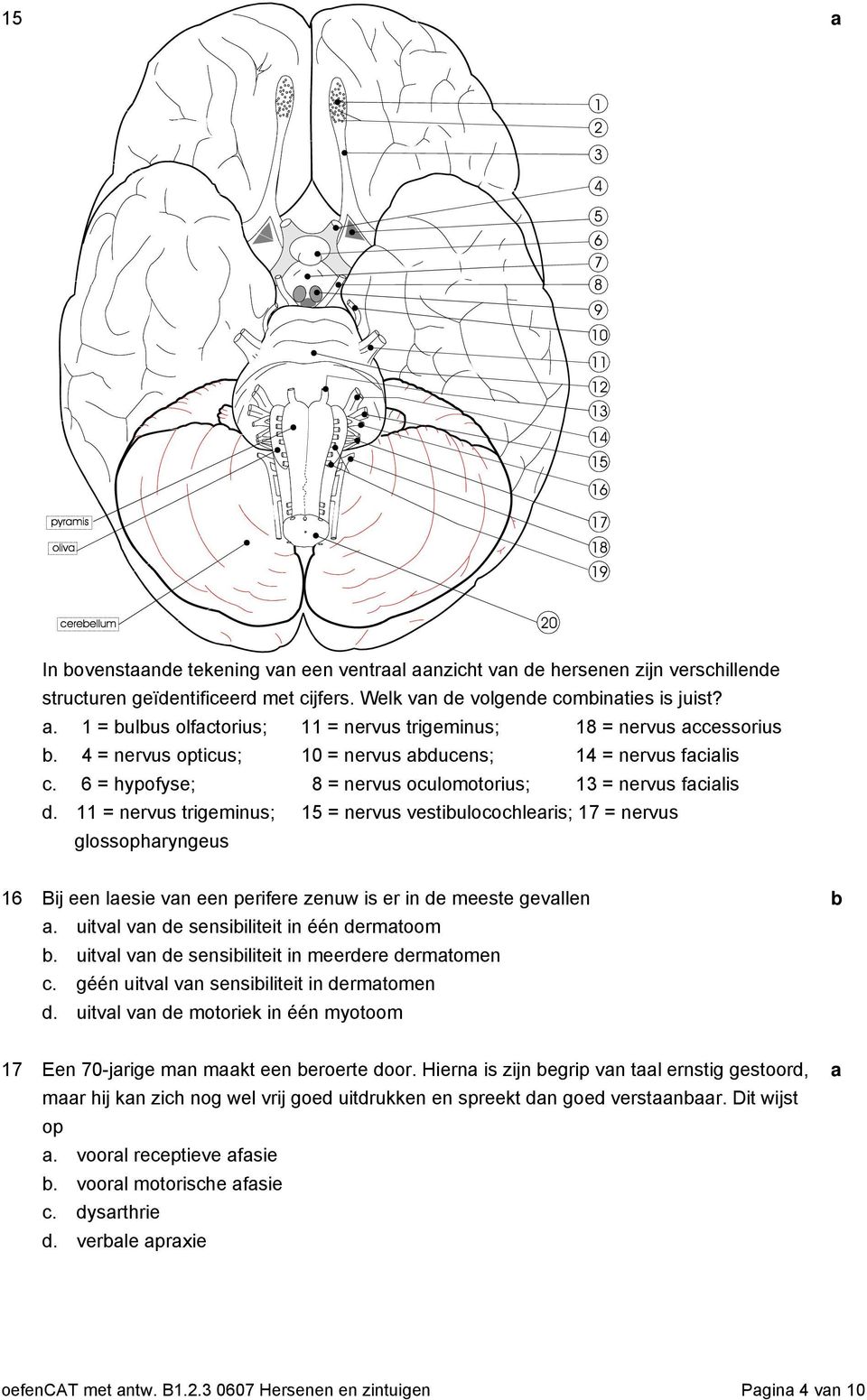 11 = nervus trigeminus; 15 = nervus vestiuloohleris; 17 = nervus glossophryngeus 16 Bij een lesie vn een perifere zenuw is er in e meeste gevllen. uitvl vn e sensiiliteit in één ermtoom.