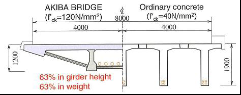 Brug, Centrum Tokyo, ontwerp