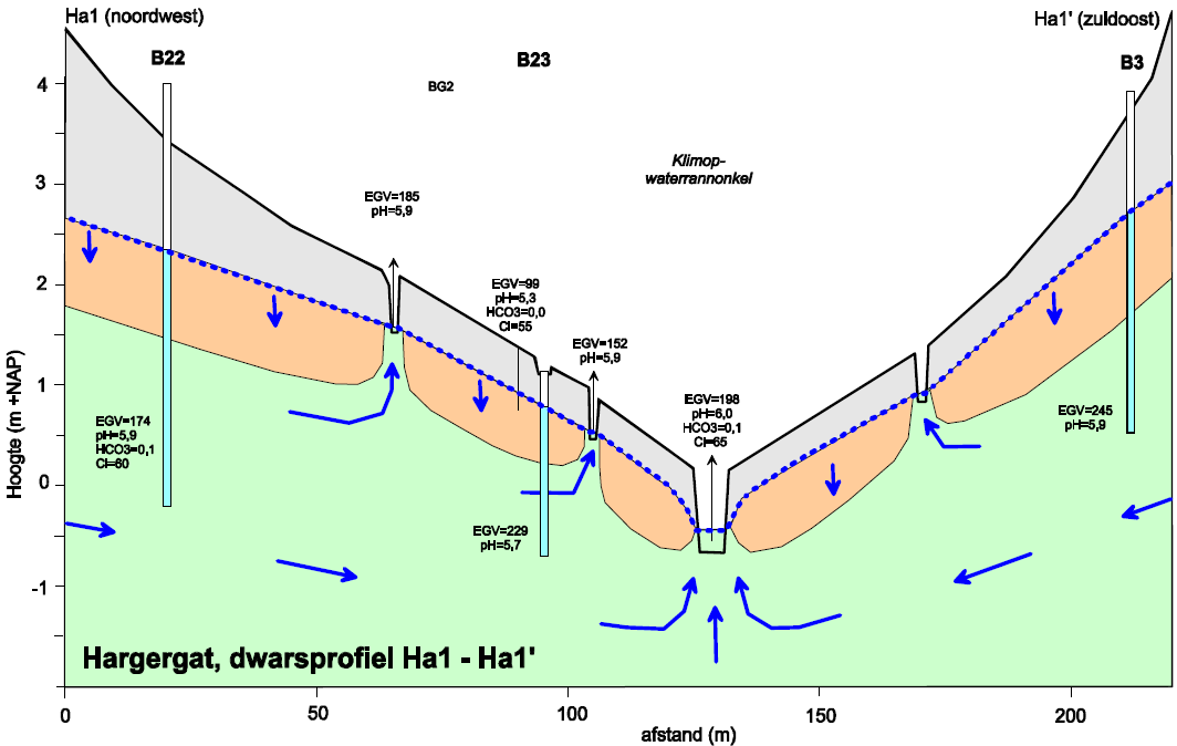 Het Hargergat Het waterlopenstelsel van het Hargergat wordt permanent gevoed met kwelwater vanuit het duinmassief (Figuur 3.10).