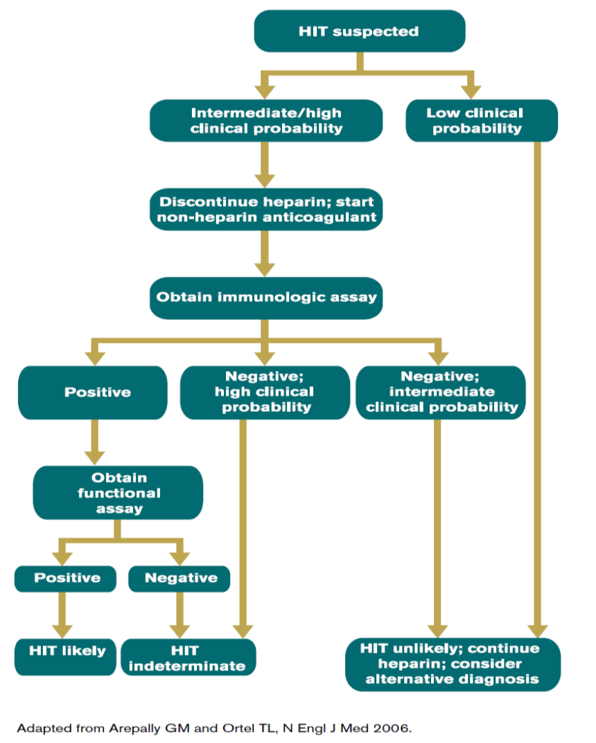 Diagnostische algoritme American College of Chest