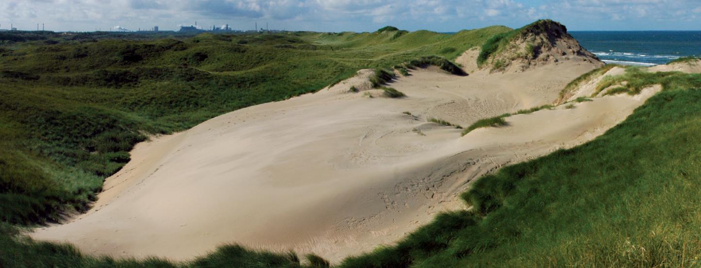 Waar beheerders van waterkeringen en duinen vroeger hun eigen 'koninkrijkjes' hadden, werken ze nu samen.