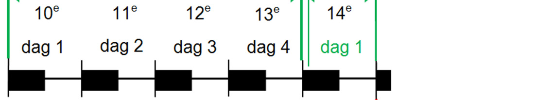 Ook Leviticus 23:5 leert dat het Pascha op de 14e gegeten moest worden: In de eerste maand, op den veertienden der maand, tussen twee avonden is des HEEREN pascha.