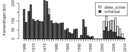 Afbeelding 3.6. Gemiddelde lengte van rode aal (rood) en schieraal (zwart) tijdens marktbemonsteringen De aanlandingen van aal op de IJsselmeerafslagen laten een sterk dalende trend zien.