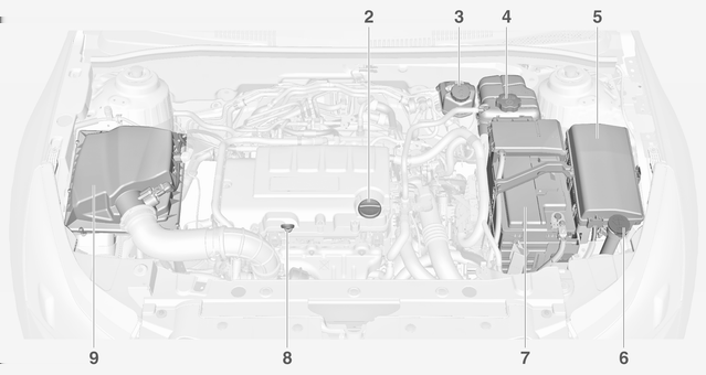 248 Verzorging van de auto Overzicht