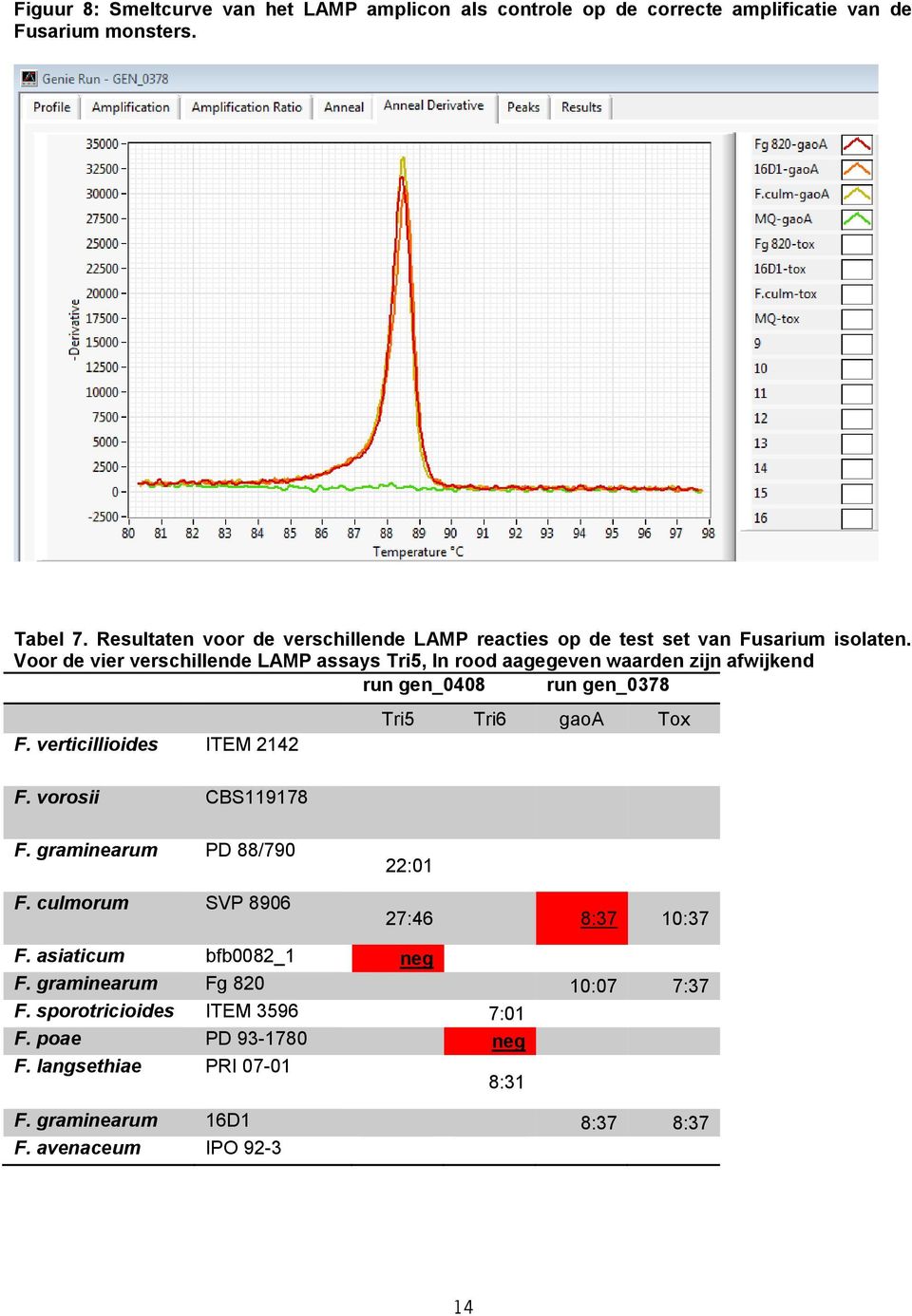 Voor de vier verschillende LAMP assays Tri5, In rood aagegeven waarden zijn afwijkend run gen_0408 run gen_0378 F. verticillioides ITEM 2142 F.