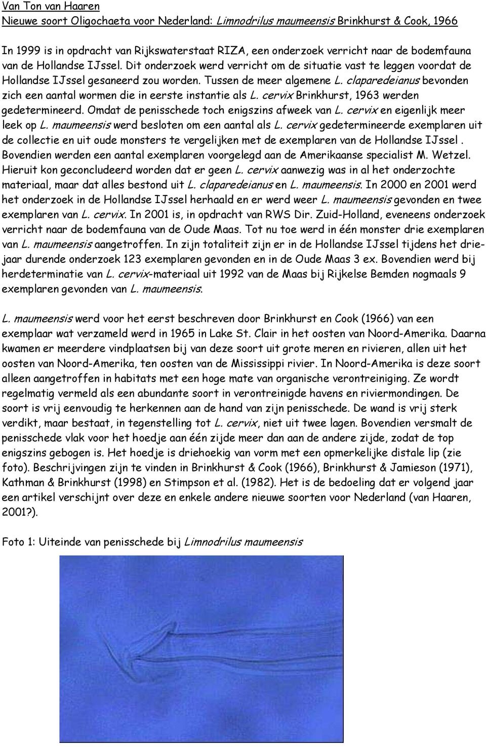 claparedeianus bevonden zich een aantal wormen die in eerste instantie als L. cervix Brinkhurst, 1963 werden gedetermineerd. Omdat de penisschede toch enigszins afweek van L.