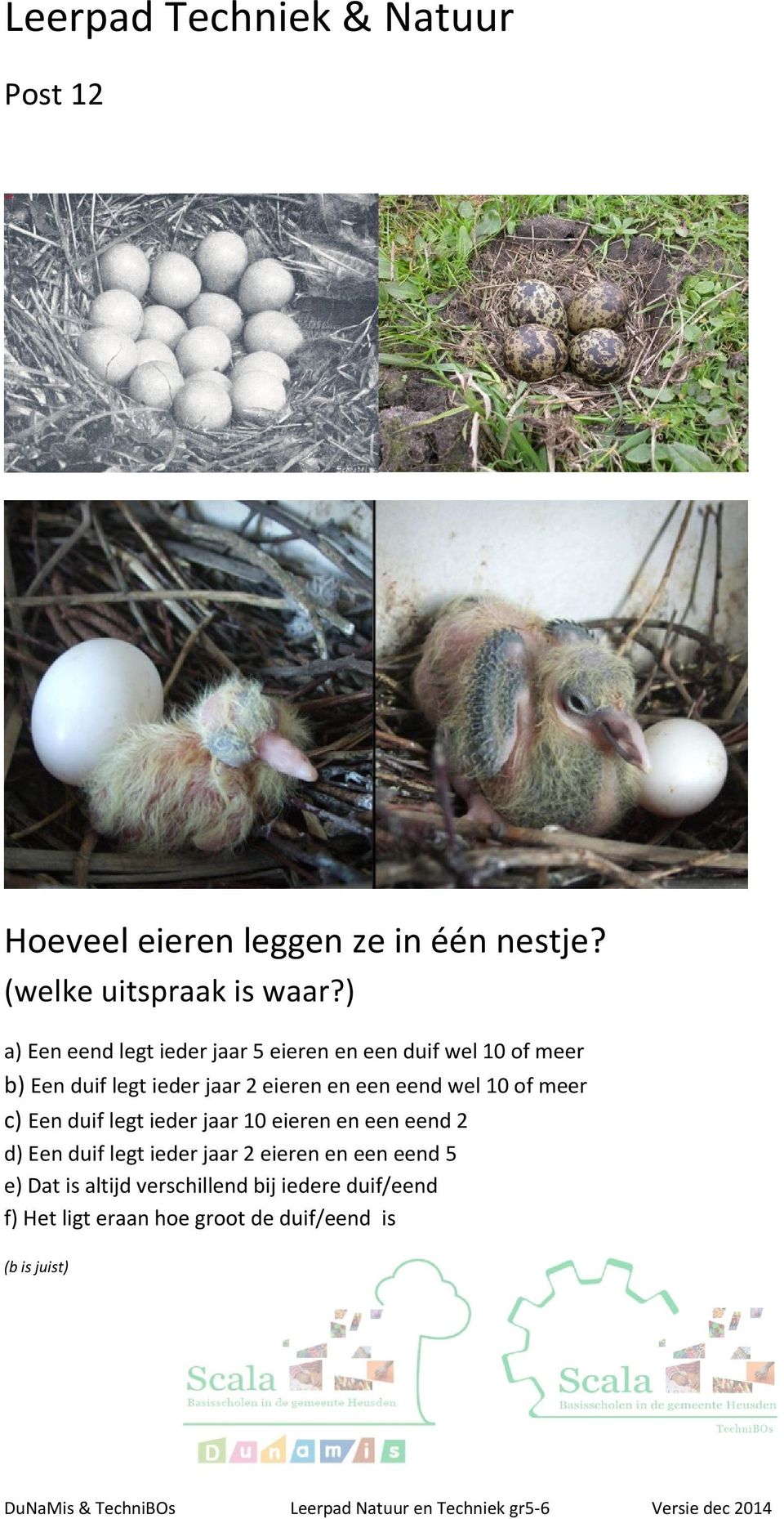 eend wel 10 of meer c) Een duif legt ieder jaar 10 eieren en een eend 2 d) Een duif legt ieder jaar 2 eieren