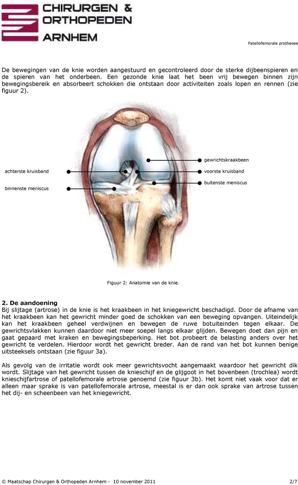 gewrichtskraakbeen achterste kruisband binnenste meniscus voorste kruisband buitenste meniscus Figuur 2: