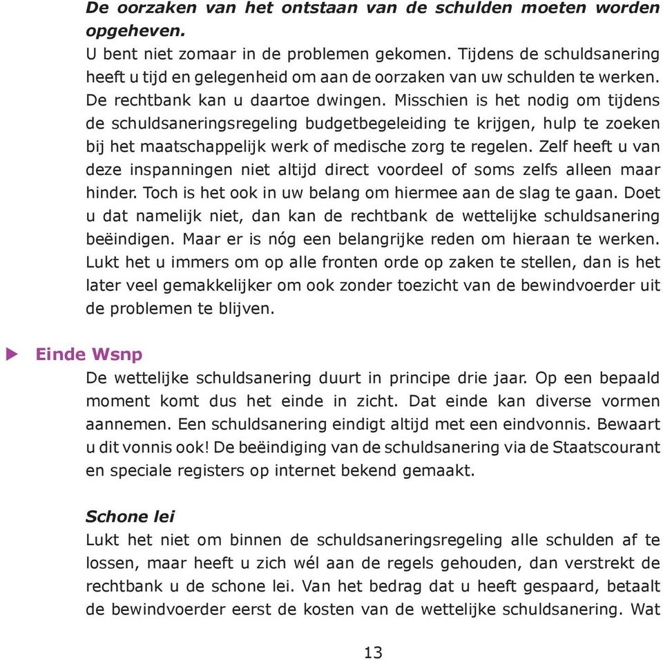 Misschien is het nodig om tijdens de schuldsaneringsregeling budgetbegeleiding te krijgen, hulp te zoeken bij het maatschappelijk werk of medische zorg te regelen.