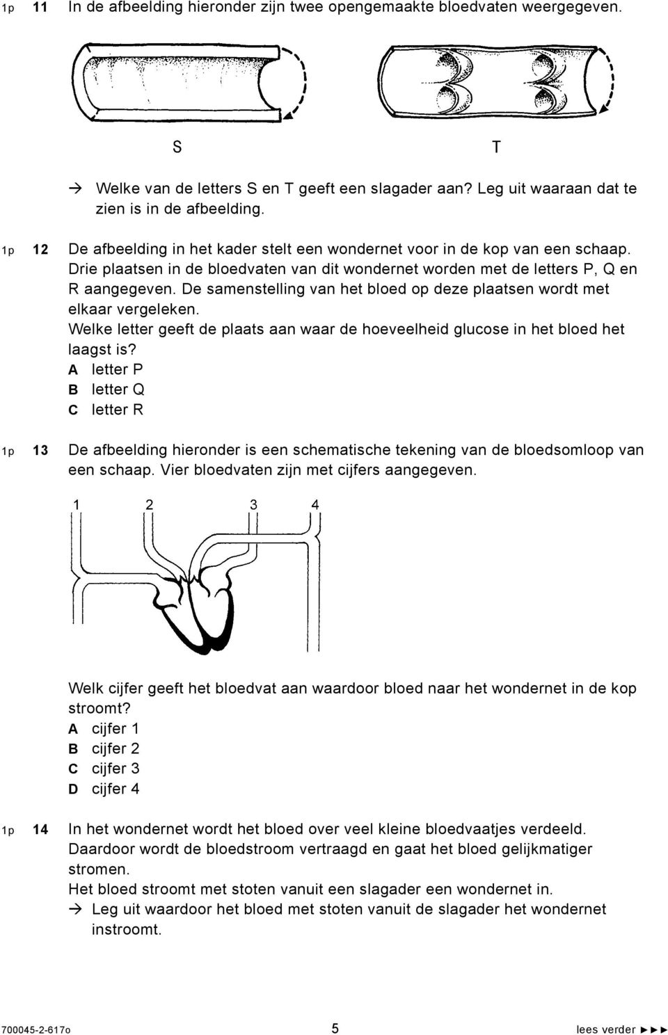 De samenstelling van het bloed op deze plaatsen wordt met elkaar vergeleken. Welke letter geeft de plaats aan waar de hoeveelheid glucose in het bloed het laagst is?