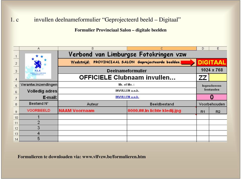 Provinciaal Salon digitale beelden