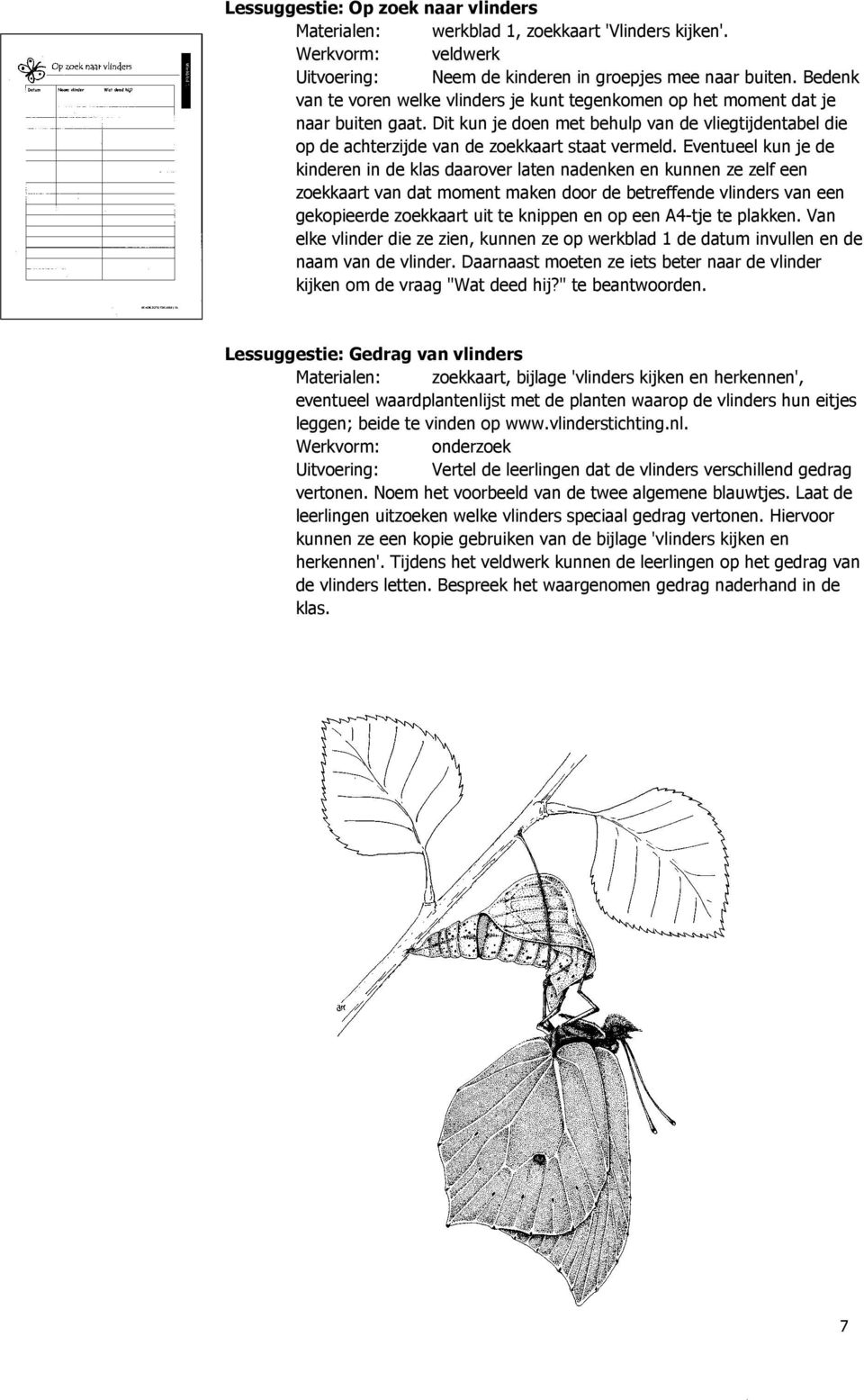 Eventueel kun je de kinderen in de klas daarover laten nadenken en kunnen ze zelf een zoekkaart van dat moment maken door de betreffende vlinders van een gekopieerde zoekkaart uit te knippen en op