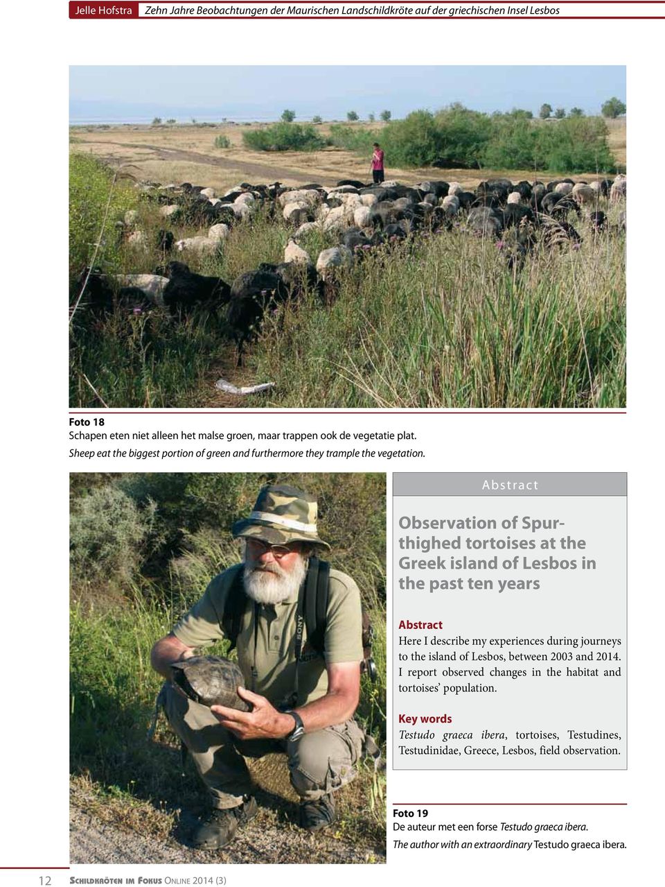 Abstrac t Observation of Spurthighed tortoises at the Greek island of Lesbos in the past ten years Abstract Here I describe my experiences during journeys to the island of Lesbos, between 2003 and