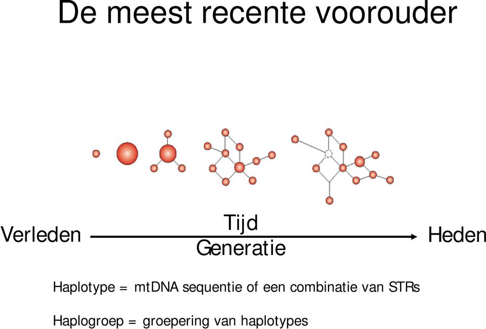 mtdna sequentie of een combinatie van