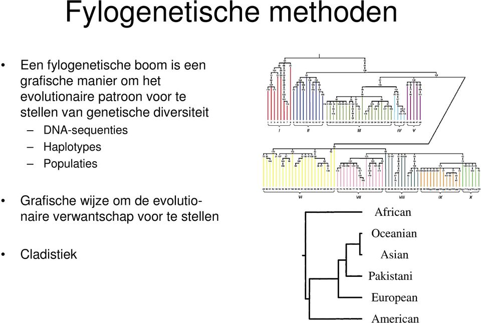 van genetische diversiteit DNA-sequenties Haplotypes Populaties