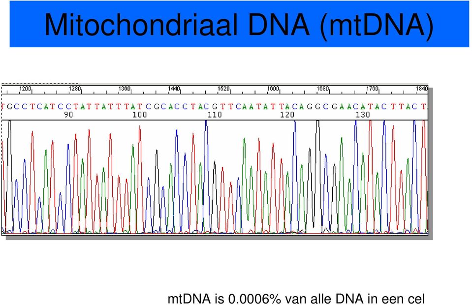 mtdna is 0.