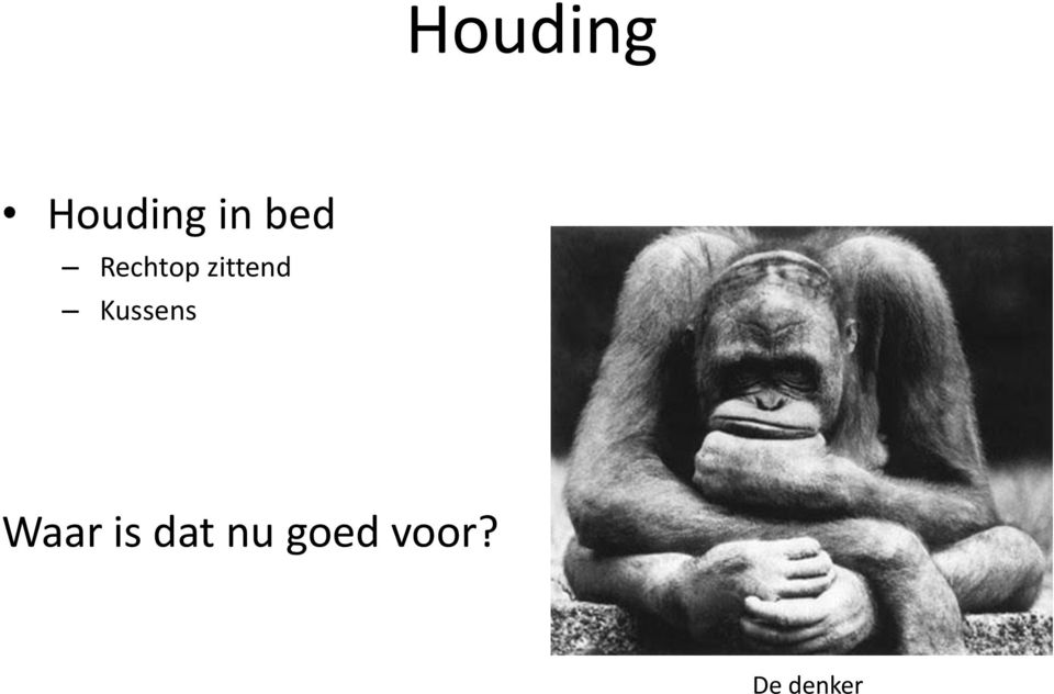 Kussens Waar is dat