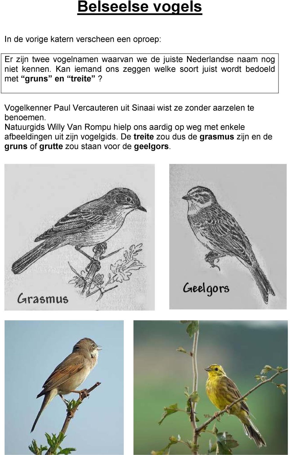 Vogelkenner Paul Vercauteren uit Sinaai wist ze zonder aarzelen te benoemen.