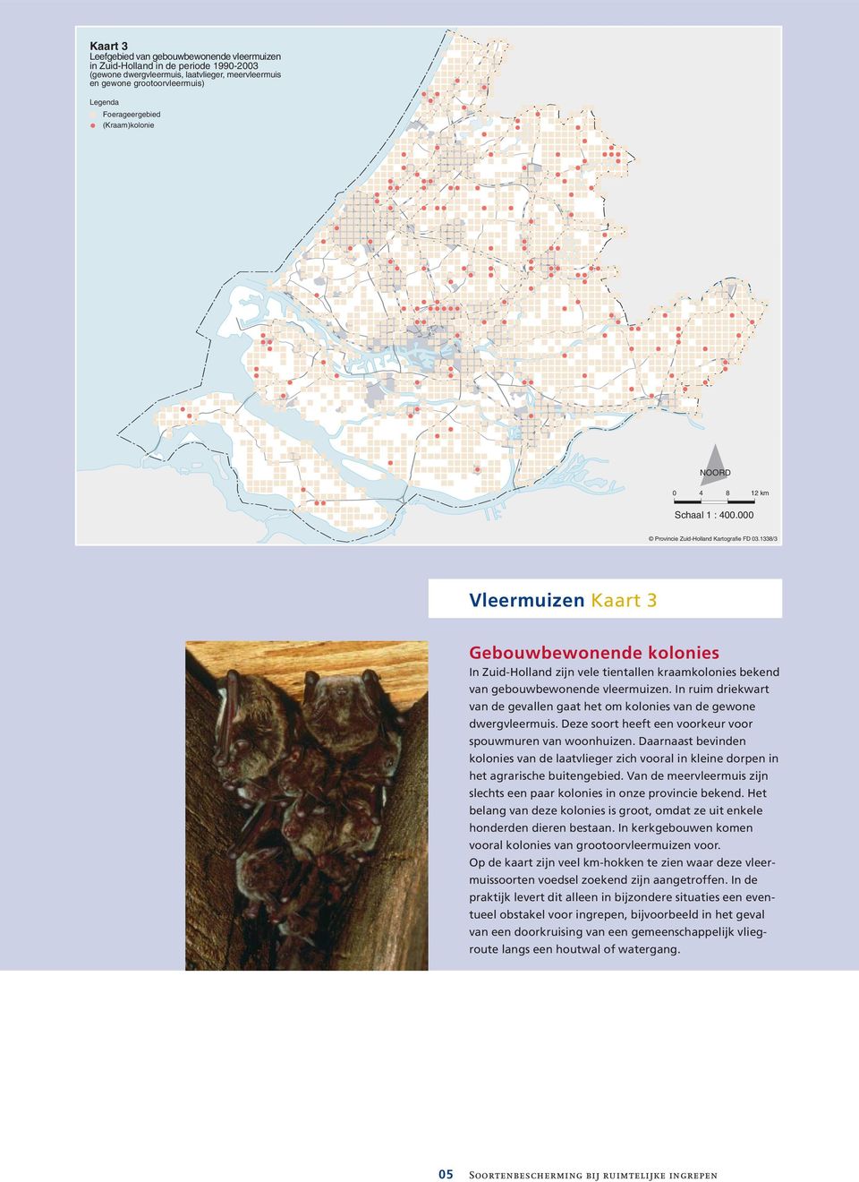 1338/3 Vleermuizen Kaart (kaart 3 3) Gebouwbewonende kolonies In Zuid-Holland zijn vele tientallen kraamkolonies bekend van gebouwbewonende vleermuizen.