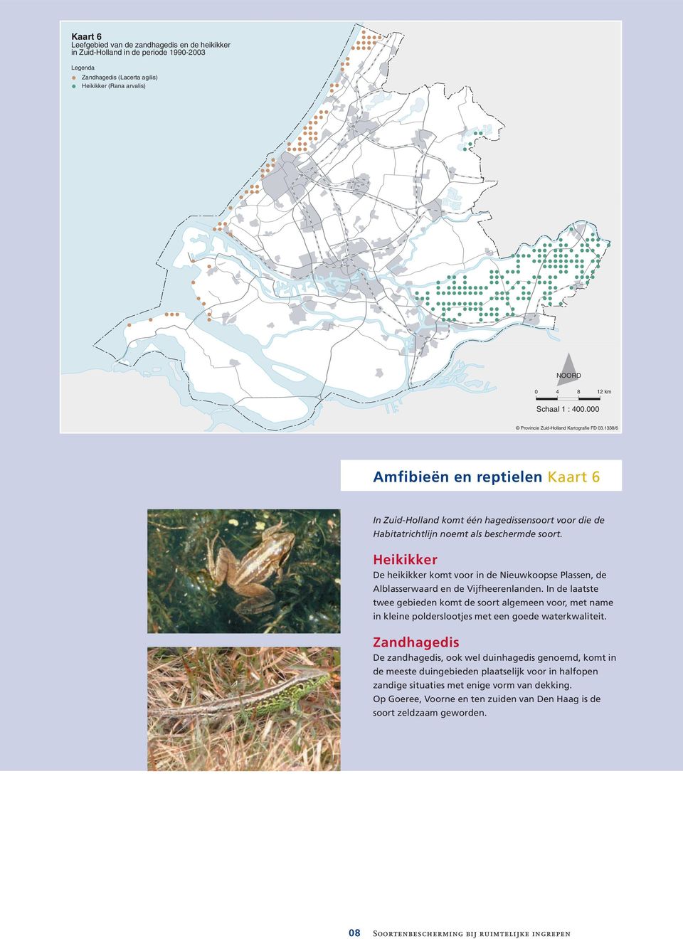 Heikikker De heikikker komt voor in de Nieuwkoopse Plassen, de Alblasserwaard en de Vijfheerenlanden.