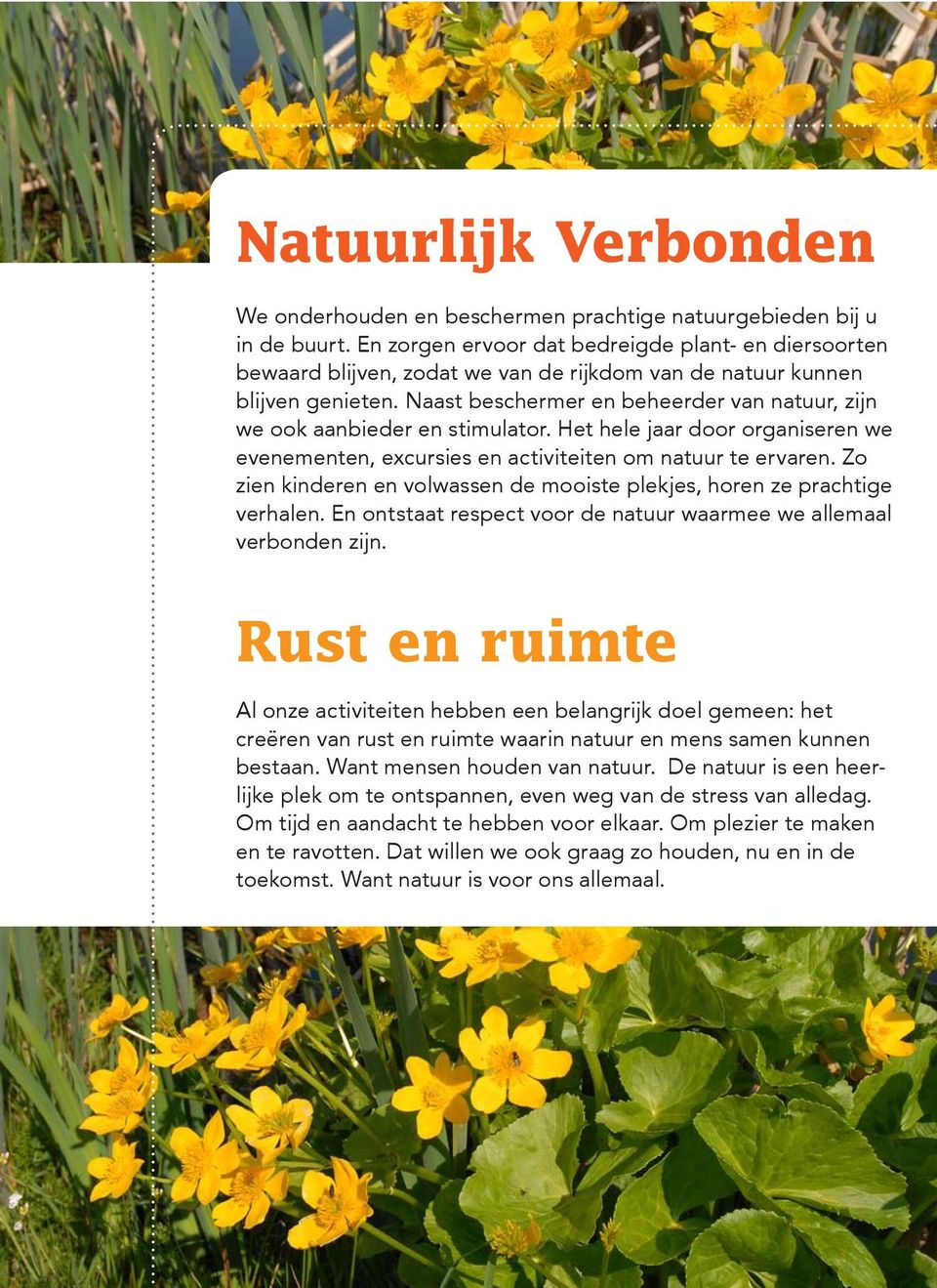 Naast beschermer en beheerder van natuur, zijn we ook aanbieder en stimulator. Het hele jaar door organiseren we evenementen, excursies en activiteiten om natuur te ervaren.