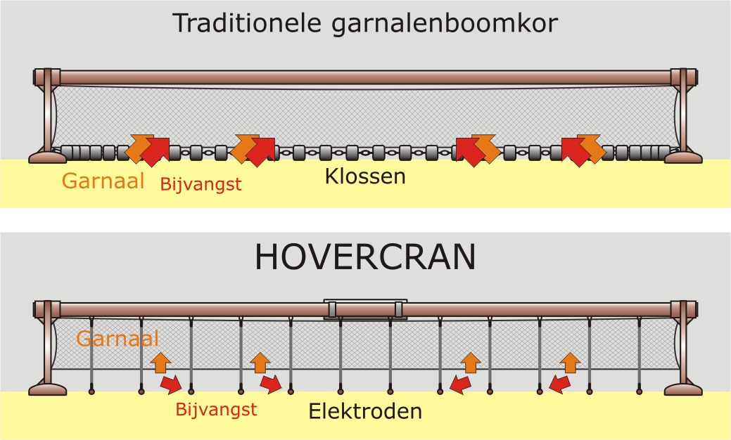 Een volgende stap in de ontwikkeling van de Crangon pulsvisserij betrof de Hovercran (Verschueren & Polet 2009). Dit vistuig kwam tot stand na een samenwerking tussen UGent, Marelec NV en ILVO.